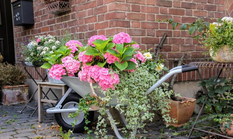 Mobiliario para jardín y sillas plegables: La mejor opción para eventos al aire libre | DisfracesMimo.com