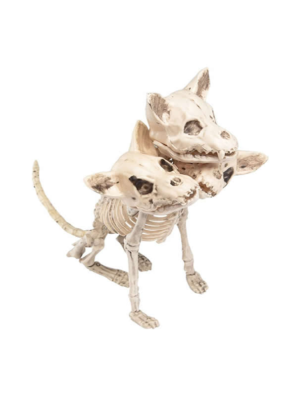 esqueleto de perro con 3 cabezas 30x34 cm