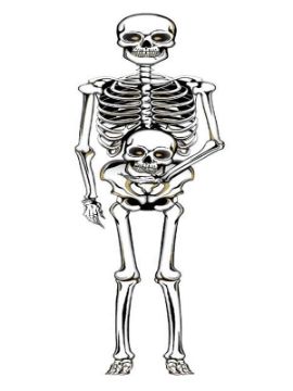 colgante de esqueleto pared 105 cms