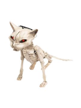 esqueleto de gato con luz 45x16 cm